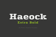 Haeock Extra Bold, a Slab Serif Font by vectalex (Thumbnail 1 of 5)