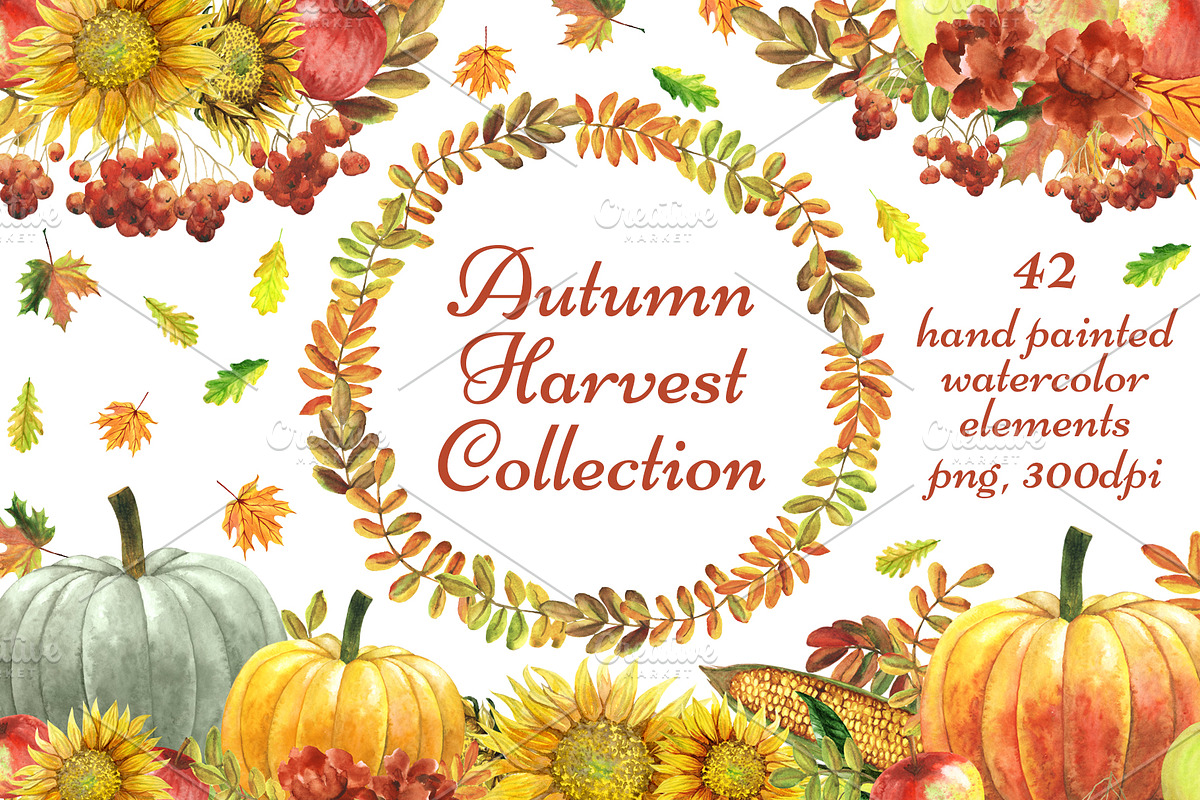 Autumn Harvest Collection, a Food Illustration by Sveta Aho (Photo 1 of 3)