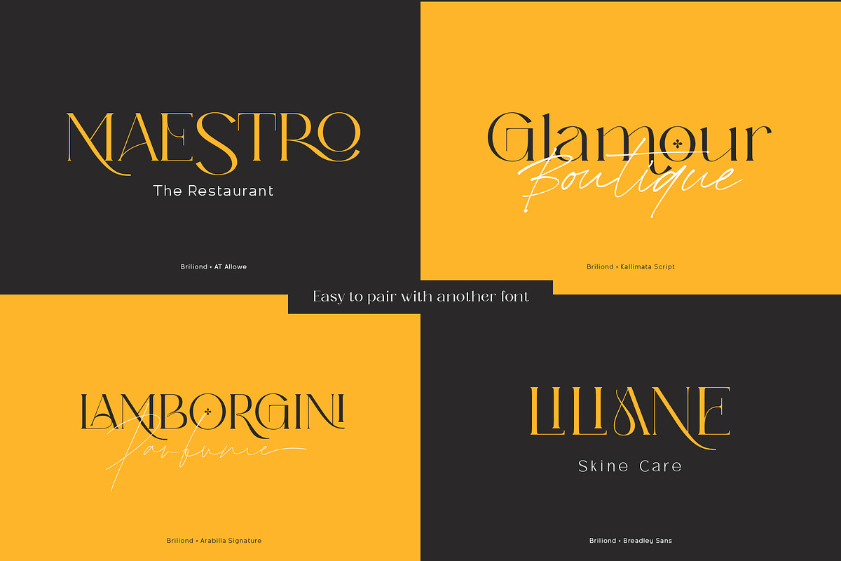 Briliond - Modern Serif, a Serif Font by Ardyanatypes (Photo 3 of 12)