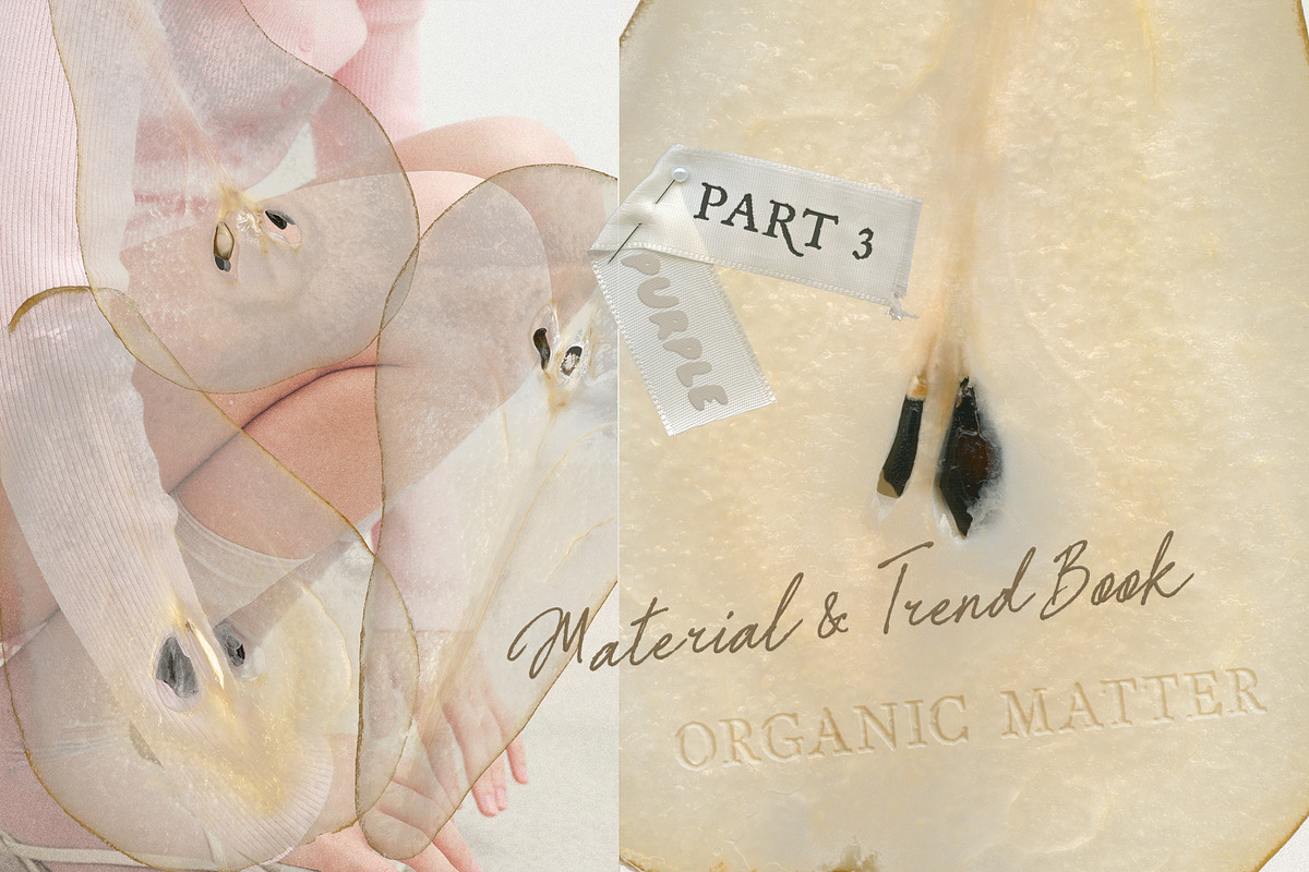 Material & Trend book 2027, an Object Graphic by Purple (Photo 13 of 24)