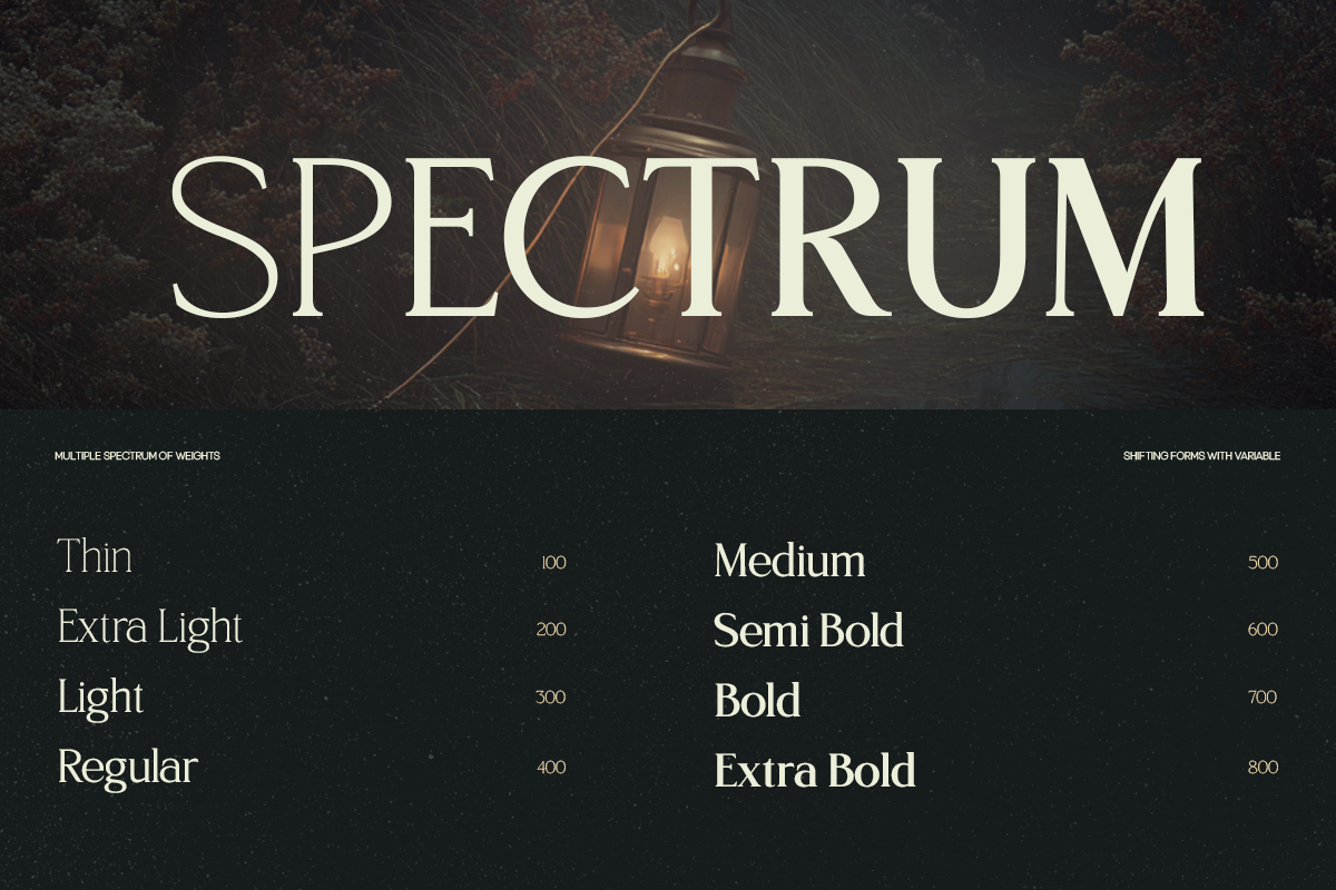 TRT Northem – Elegant Serif Font, a Serif Font by truetype (Photo 2 of 15)
