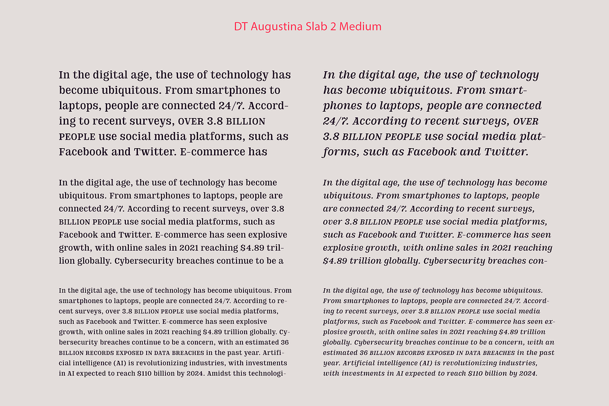DT Augustina Slab 2 Subfamily, a Slab Serif Font by Deveze Type Foundry (Photo 10 of 30)