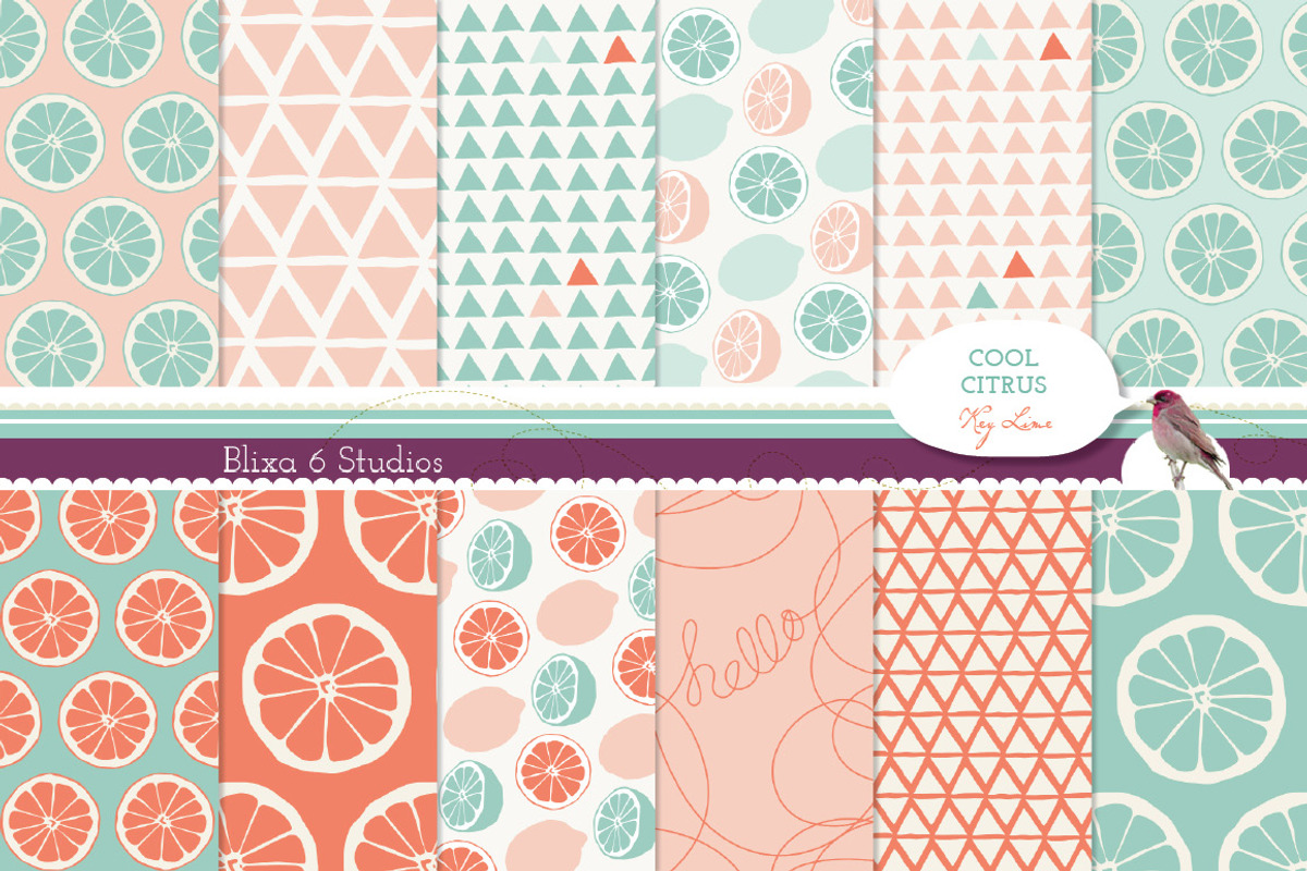 36 Summery Lemonade Patterns Bundle preview 4
