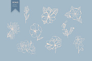Female portraits, a Person Illustration by Mariia Kovalchuk (Thumbnail 6 of 7)