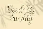 Jump Wings Script Fonts, a Script Font by mahstudios (Thumbnail 11 of 15)