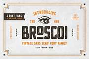 Broscoi - Vintage Font Family, a Font by LovePowerDesigns (Thumbnail 1 of 10)