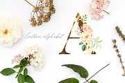 Julia Watercolor Floral Collection, an Illustration by OJardin (Thumbnail 3 of 7)