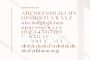 Bellagio Signature Font Duo, a Serif Font by Aqeel_Art (Thumbnail 9 of 10)