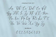 BANDEYRA | Handwriting Script, a Handwritten Font by Havinkpen (Thumbnail 6 of 7)