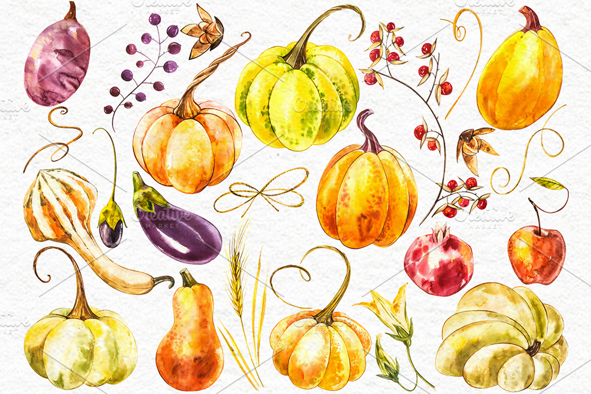 Pumpkins watercolor collection, a Food Illustration by Ann Astro (Photo 6 of 17)