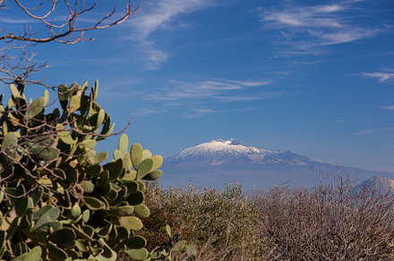 View of the Etna volcano from Morgantina. In the foreground the, a Nature Photo by Bepslabor