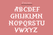 Partner | Serif, a Serif Font by Naqsya.Co (Thumbnail 6 of 8)