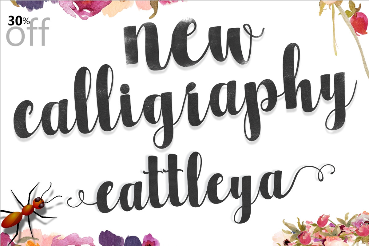 Font Bundle Caligraphy 85%Off, a Script Font by Genesis Lab (Photo 18 of 27)