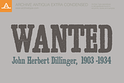 Archive Antiqua Extra Condesed, a Font by Archive Type Fonts (Thumbnail 2 of 3)
