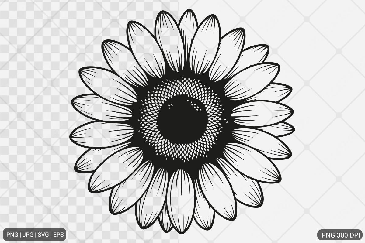 Sunflower SVG PNG Design Bundle, an Illustration by Actual Pixel (Photo 15 of 30)