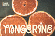 Sanger, a Sans Serif Font by Fargun Studio (Thumbnail 16 of 20)
