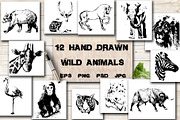 BUNDLE WILD ANIMALS VECTOR, an Animal Illustration by AnastasiyaOleynik (Thumbnail 18 of 20)
