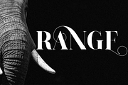 ANDREW ELEGANT Font, a Serif Font by 177Studio (Thumbnail 5 of 7)