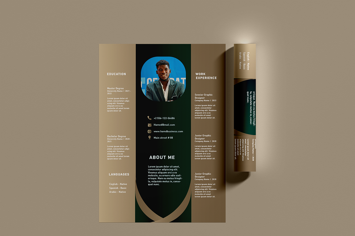 100 Resume - luxury templates, a Resume Template by Hamed Studio (Photo 15 of 15)