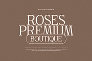 Gilvan Modern Serif Font, a Serif Font by Perfectype (Thumbnail 3 of 8)