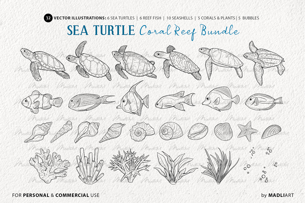 Sea Turtle Coral Reef Vector Art, an Animal Illustration by MadliArt (Photo 3 of 4)