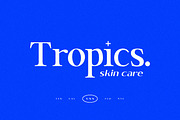 Brixton TC Pro Font collection, a Serif Font by Tom Chalky (Thumbnail 4 of 10)