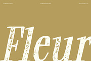 CS Reigate Stamp, a Serif Font by Craft Supply Co. (Thumbnail 2 of 8)