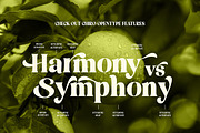 Storia Lettering, a Serif Font by Gatype (Thumbnail 5 of 10)