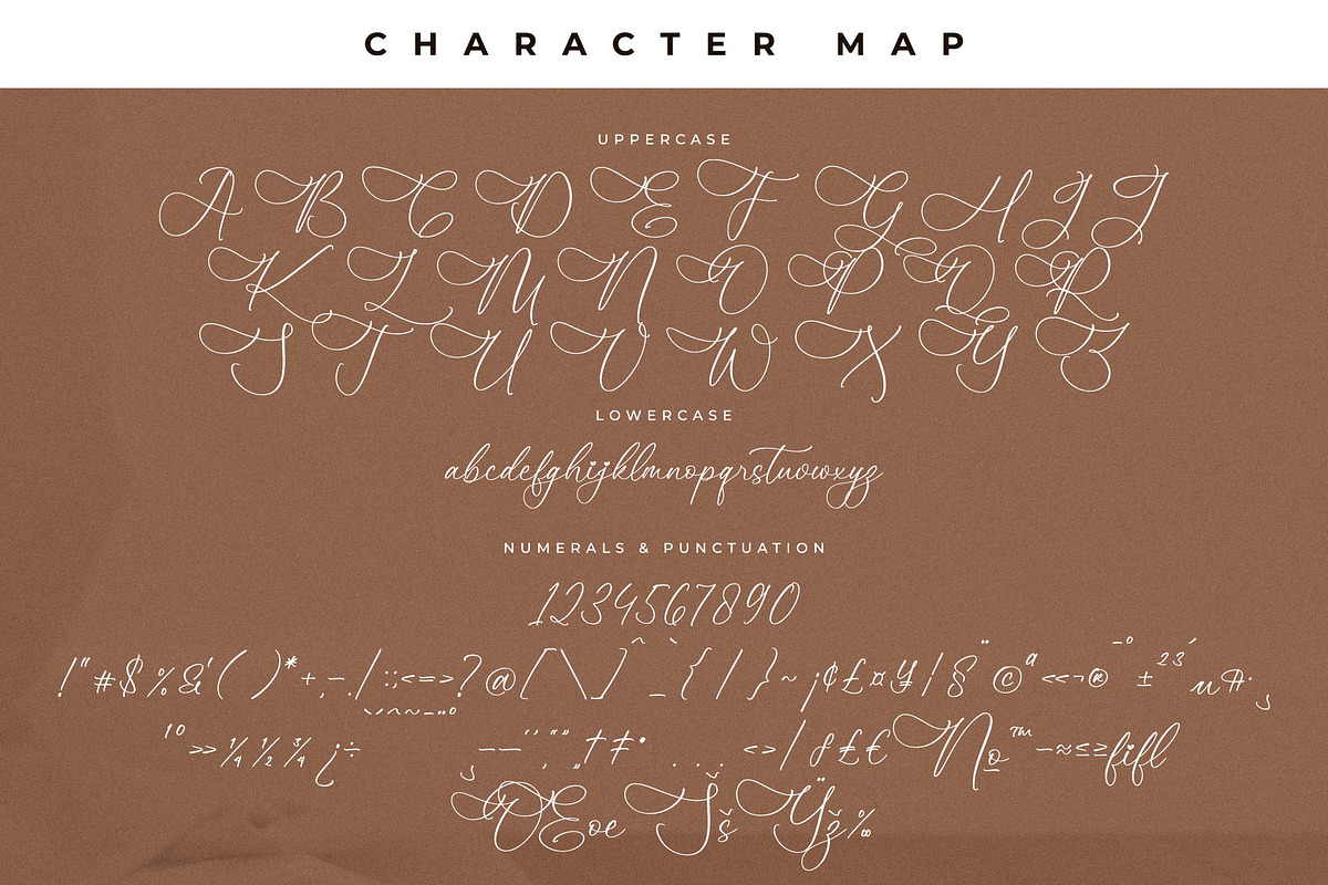 Promises Gisttela Font Duo, a Serif Font by Storytype Studio (Photo 13 of 15)