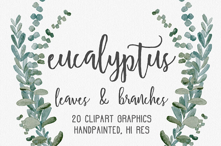 Eucalyptus Greenery Clipart Graphics