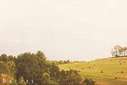 Wood & White Photoshop Action, an Action Add-On by The Roark Division (Thumbnail 3 of 6)