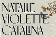 SLTF Night Windfall - Ligature Sans, a Sans Serif Font by SilverStag Type Foundry (Thumbnail 15 of 30)