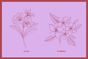 Vintage Tropical Flora Illustrations, an Object Illustration by Jaclyn Caris (Thumbnail 3 of 15)