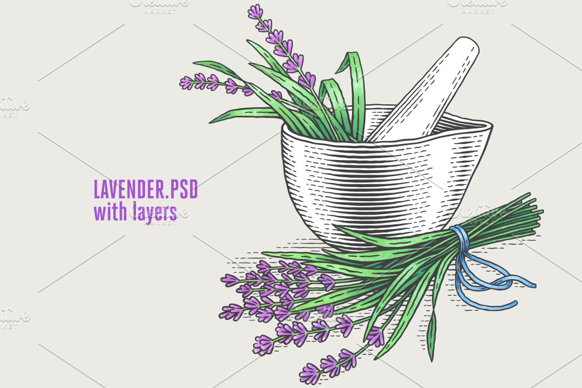 Herbs Bundle engravings, a Food Illustration by Irina Trusova (Photo 4 of 9)