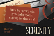 CS Courtesy – Elegant Font, a Serif Font by Craft Supply Co. (Thumbnail 7 of 8)