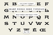 Sharp Wedge Serif Typeface, a Serif Font by Century Library (Thumbnail 1 of 6)