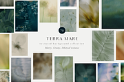 Organic Blurred textured backgrounds, a Background Graphic by Grace Noboa Illustrations (Thumbnail 1 of 24)