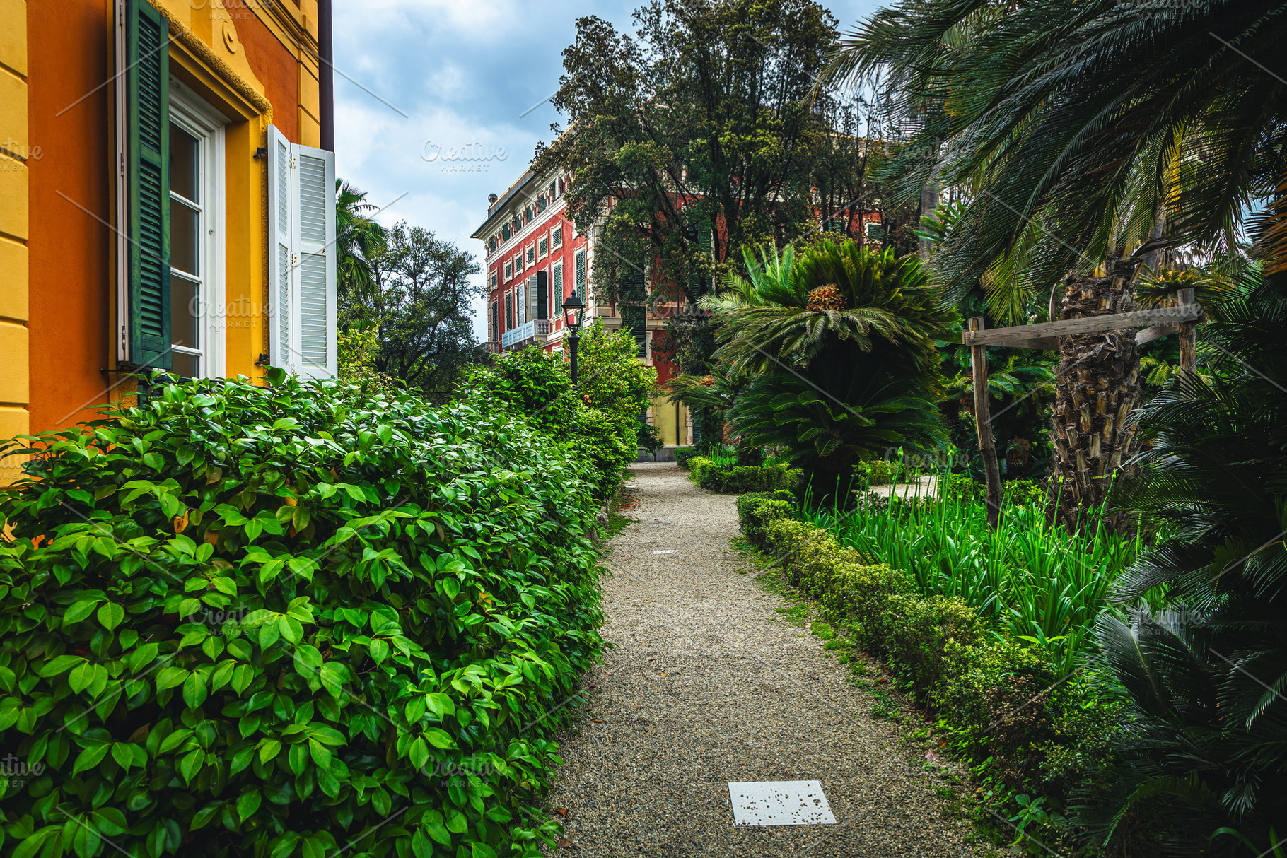 Garden with various green plants, an Architecture Photo by Alpine Dreams