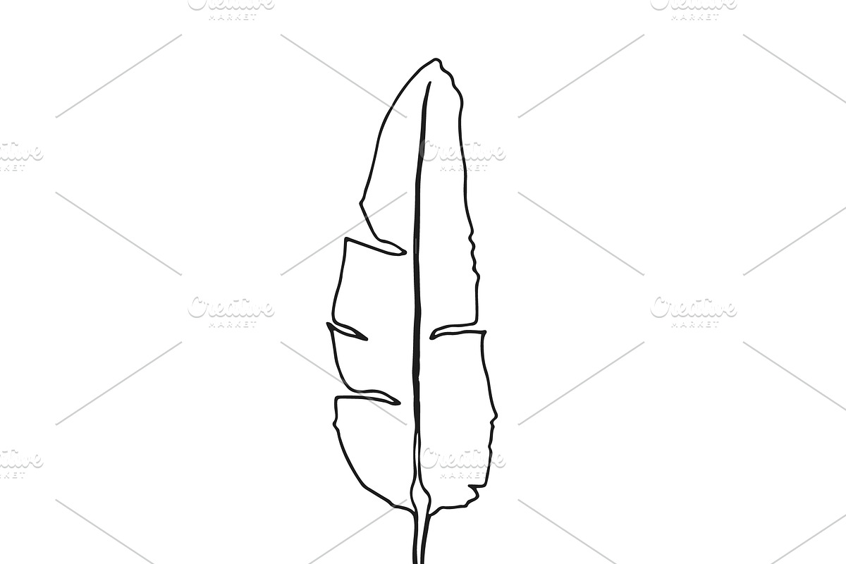 Palm Leaves svg, Botanical png, a Decorative Illustration by Watercolor_Vector Graphic (Photo 14 of 25)