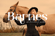 Layla - Display Serif Font, a Sans Serif Font by PutraCetol Studio (Thumbnail 6 of 11)