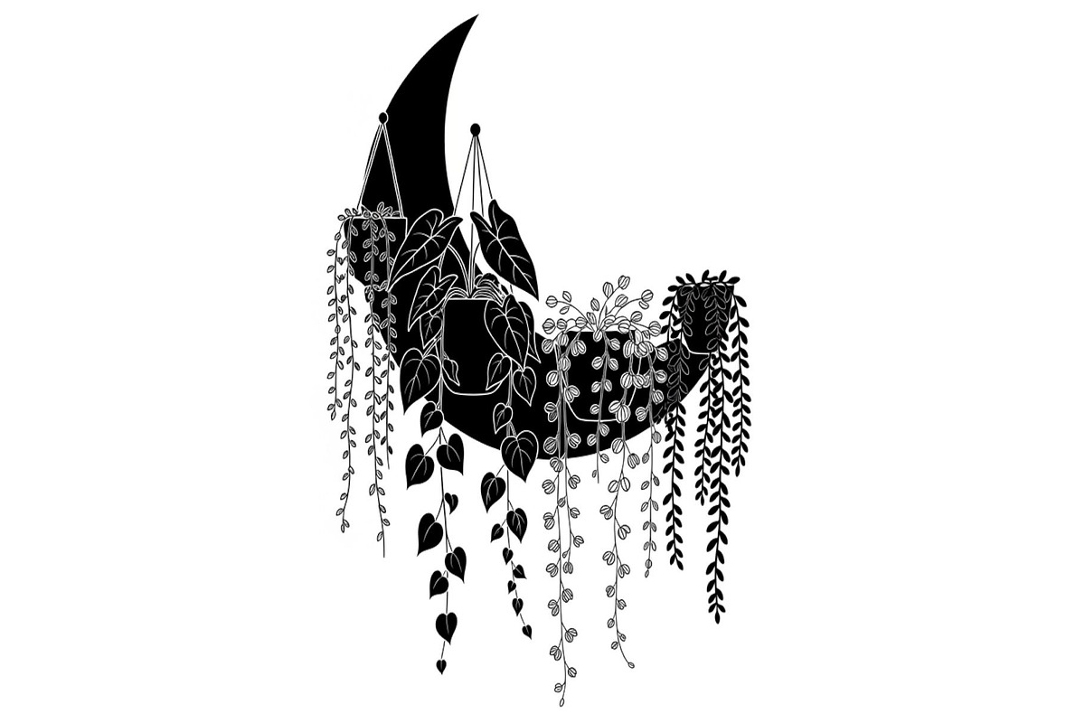 Hanging Moon with Plants Bundle, an Illustration by Designs_River (Photo 22 of 31)
