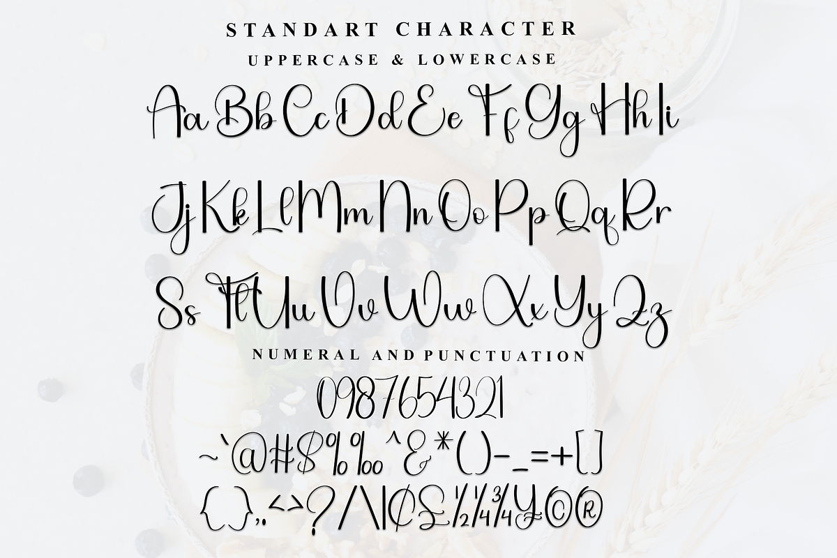 Bushing, a Handwritten Font by FreshTypeINK (Photo 3 of 8)