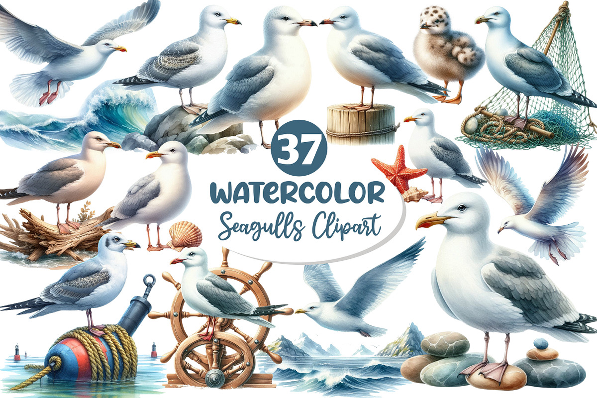 Watercolor Seagulls Clipart, an Illustration by Dream Creation (Photo 1 of 7)
