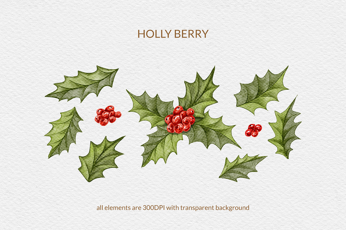 Christmas Florals, Poinsettia, an Object Graphic by ilonitta (Photo 8 of 18)
