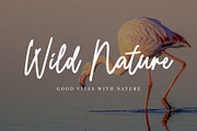 Messy Platters | Cursive Casual Font, a Script Font by Airotype (Thumbnail 3 of 8)