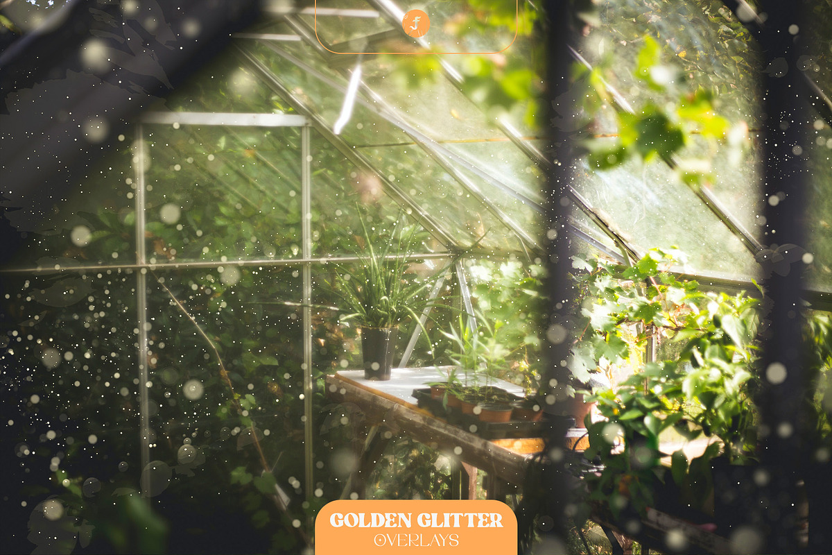 Golden Glitter Overlays, a Texture Graphic by Freezerondigital (Photo 5 of 16)