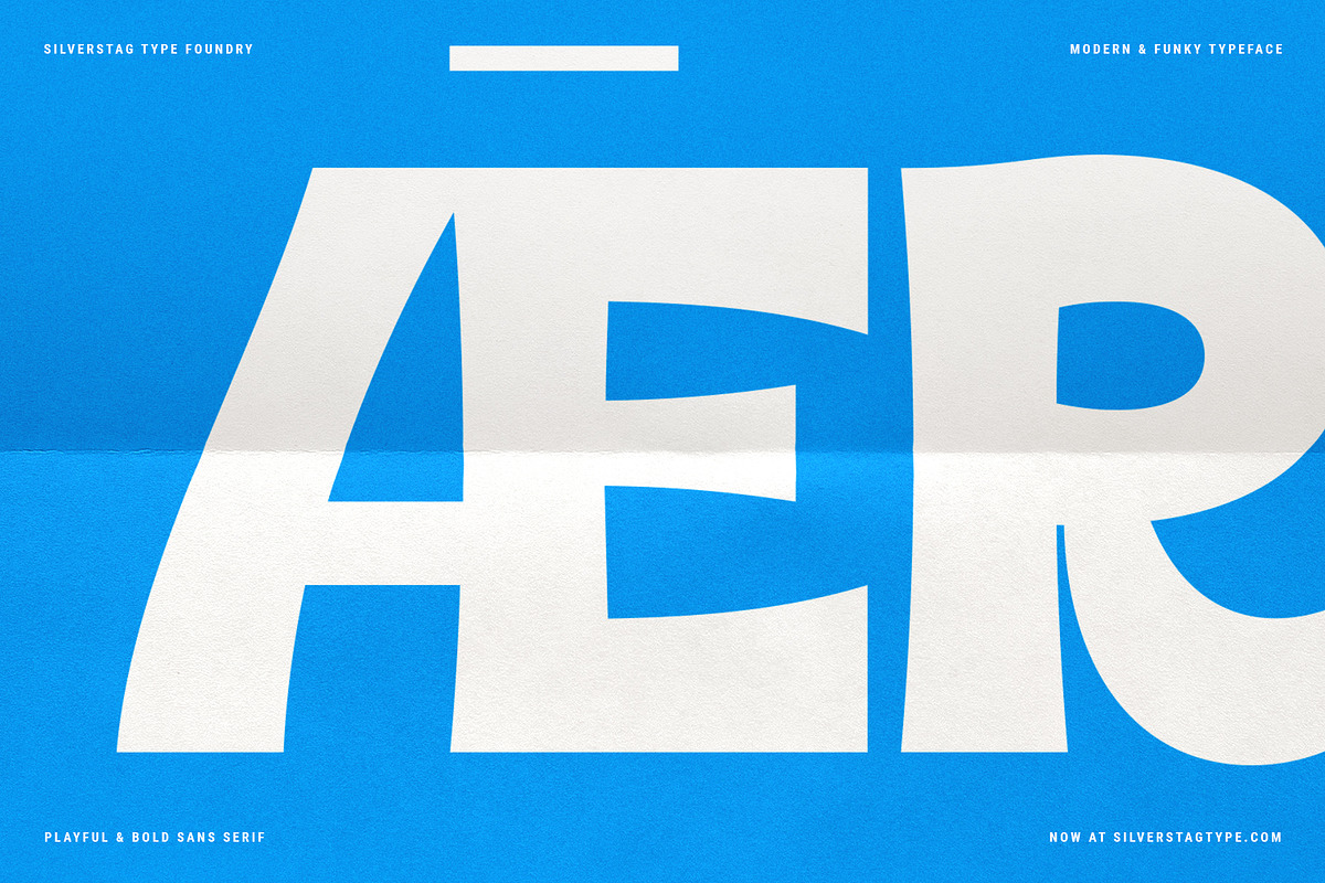 Rigalé – Playful & Bold Sans Serif, a Sans Serif Font by SilverStag Type Foundry (Photo 10 of 20)