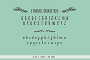 Sanderling Textured Font, a Script Font by Lettering Supply Co. (Thumbnail 8 of 17)