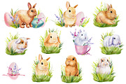 Fluffy bunnies. Watercolor painting, an Animal Illustration by Hanna Hryharenka (Thumbnail 10 of 17)