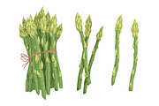 Hand drawn asparagus stems set, a Food Illustration by Good Studio (Thumbnail 2 of 3)